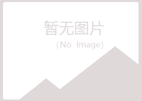 大同城盼夏化学有限公司